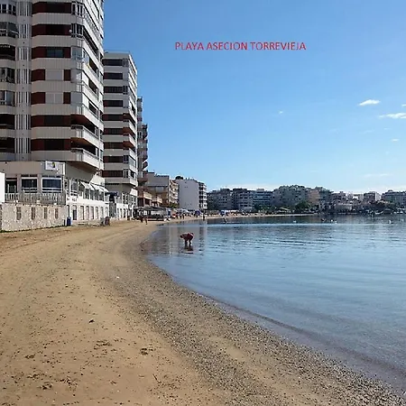 Jose Hurtado Romero * Torrevieja